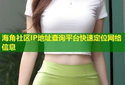 海角社区IP地址查询平台快速定位网络信息
