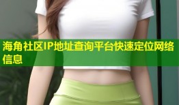 海角社区IP地址查询平台快速定位网络信息