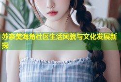 苏奈美海角社区生活风貌与文化发展新探