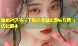 海角社区站长工具精准查询网站数据与优化助手