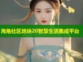 海角社区地块20智慧生活集成平台