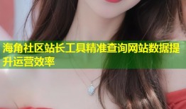 海角社区站长工具精准查询网站数据提升运营效率