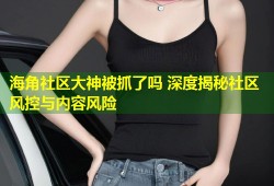 海角社区大神被抓了吗 深度揭秘社区风控与内容风险