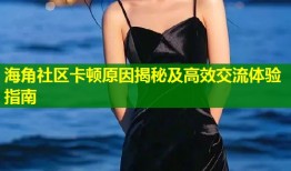 海角社区卡顿原因揭秘及高效交流体验指南