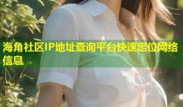 海角社区IP地址查询平台快速定位网络信息