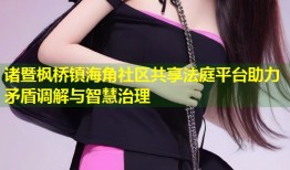 诸暨枫桥镇海角社区共享法庭平台助力矛盾调解与智慧治理
