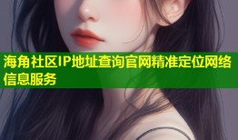 海角社区IP地址查询官网精准定位网络信息服务