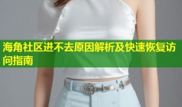 海角社区进不去原因解析及快速恢复访问指南