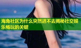 海角社区为什么突然进不去揭秘社交娱乐畅玩的关键