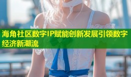 海角社区数字IP赋能创新发展引领数字经济新潮流