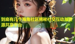 到底有几个海角社区揭秘社交互动与资源共享平台