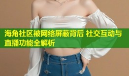 海角社区被网络屏蔽背后 社交互动与直播功能全解析