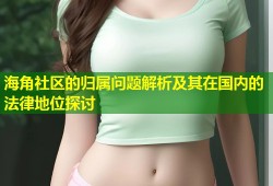 海角社区的归属问题解析及其在国内的法律地位探讨