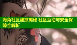 海角社区被抓揭秘 社区互动与安全保障全解析