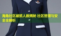 海角社区被抓人数揭秘 社区管理与安全全解析