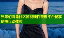 兄弟们海角社区智能硬件管理平台畅享便捷互动体验