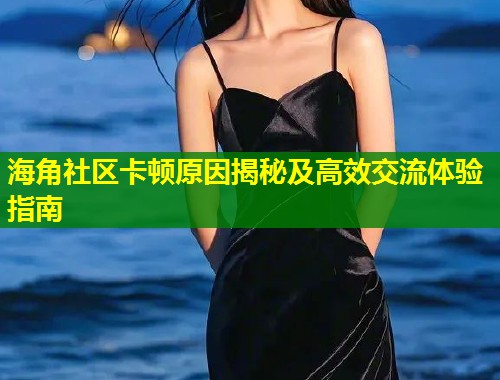 海角社区卡顿原因揭秘及高效交流体验指南