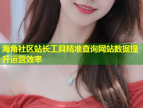 海角社区站长工具精准查询网站数据提升运营效率