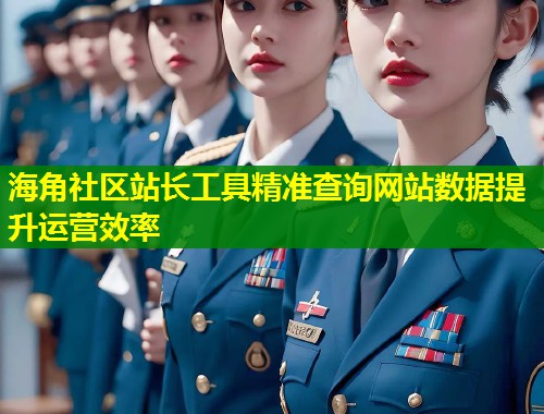 海角社区站长工具精准查询网站数据提升运营效率