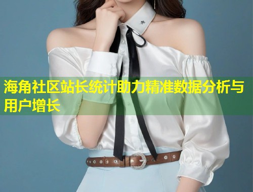 海角社区站长统计助力精准数据分析与用户增长