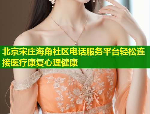北京宋庄海角社区电话服务平台轻松连接医疗康复心理健康