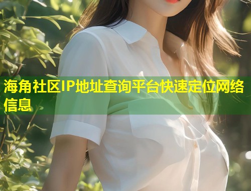 海角社区IP地址查询平台快速定位网络信息