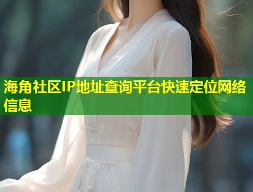 海角社区IP地址查询平台快速定位网络信息