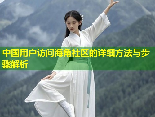 中国用户访问海角社区的详细方法与步骤解析