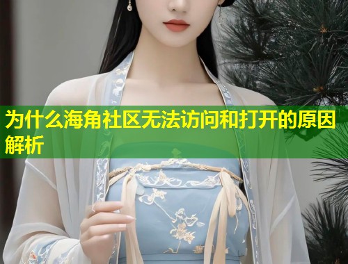 为什么海角社区无法访问和打开的原因解析