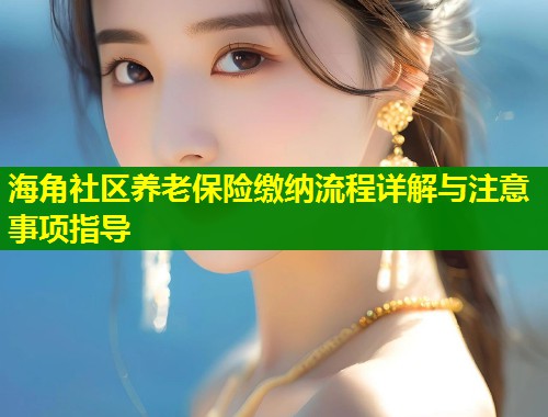 海角社区养老保险缴纳流程详解与注意事项指导