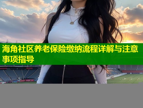 海角社区养老保险缴纳流程详解与注意事项指导
