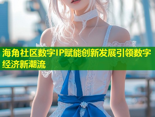 海角社区数字IP赋能创新发展引领数字经济新潮流