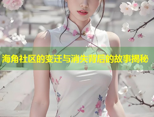 海角社区的变迁与消失背后的故事揭秘