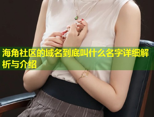 海角社区的域名到底叫什么名字详细解析与介绍