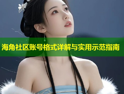 海角社区账号格式详解与实用示范指南
