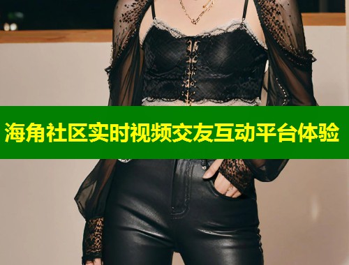 海角社区实时视频交友互动平台体验