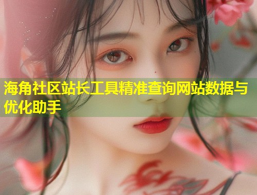 海角社区站长工具精准查询网站数据与优化助手