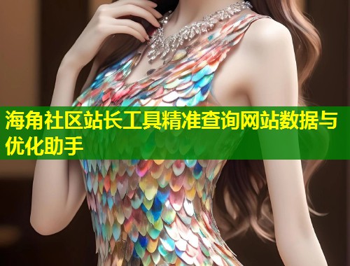 海角社区站长工具精准查询网站数据与优化助手
