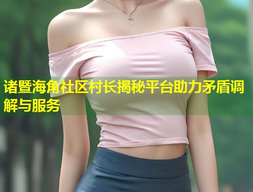 诸暨海角社区村长揭秘平台助力矛盾调解与服务