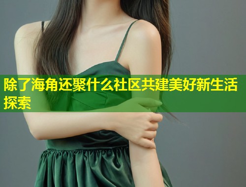 除了海角还聚什么社区共建美好新生活探索